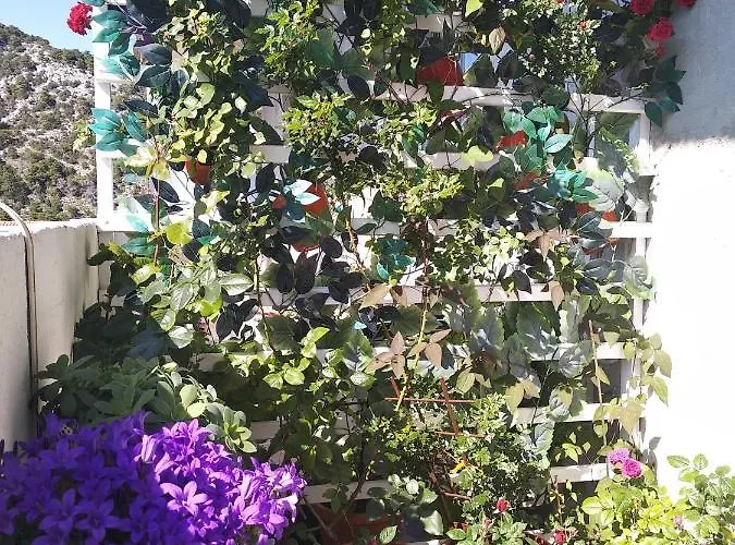 Antea Hvar Hvar Town