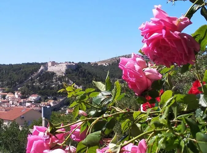 Antea Hvar * Hvar Town